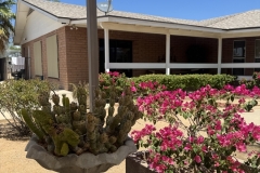 image11