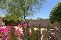 image13